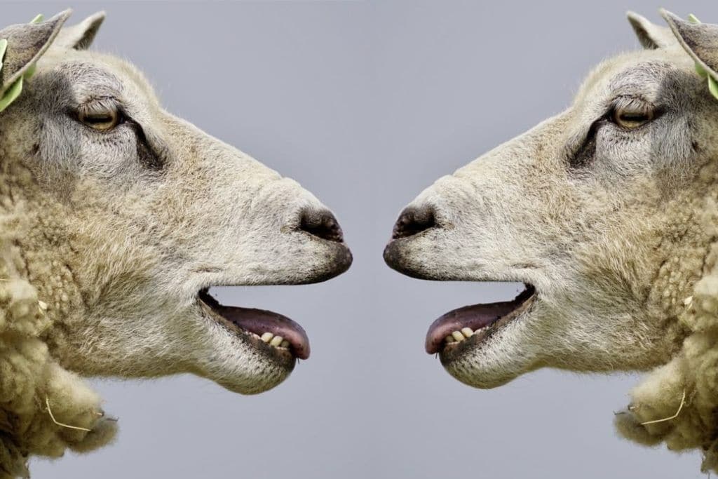 Inteligencia artificial y natural