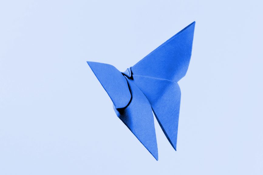 mariposa