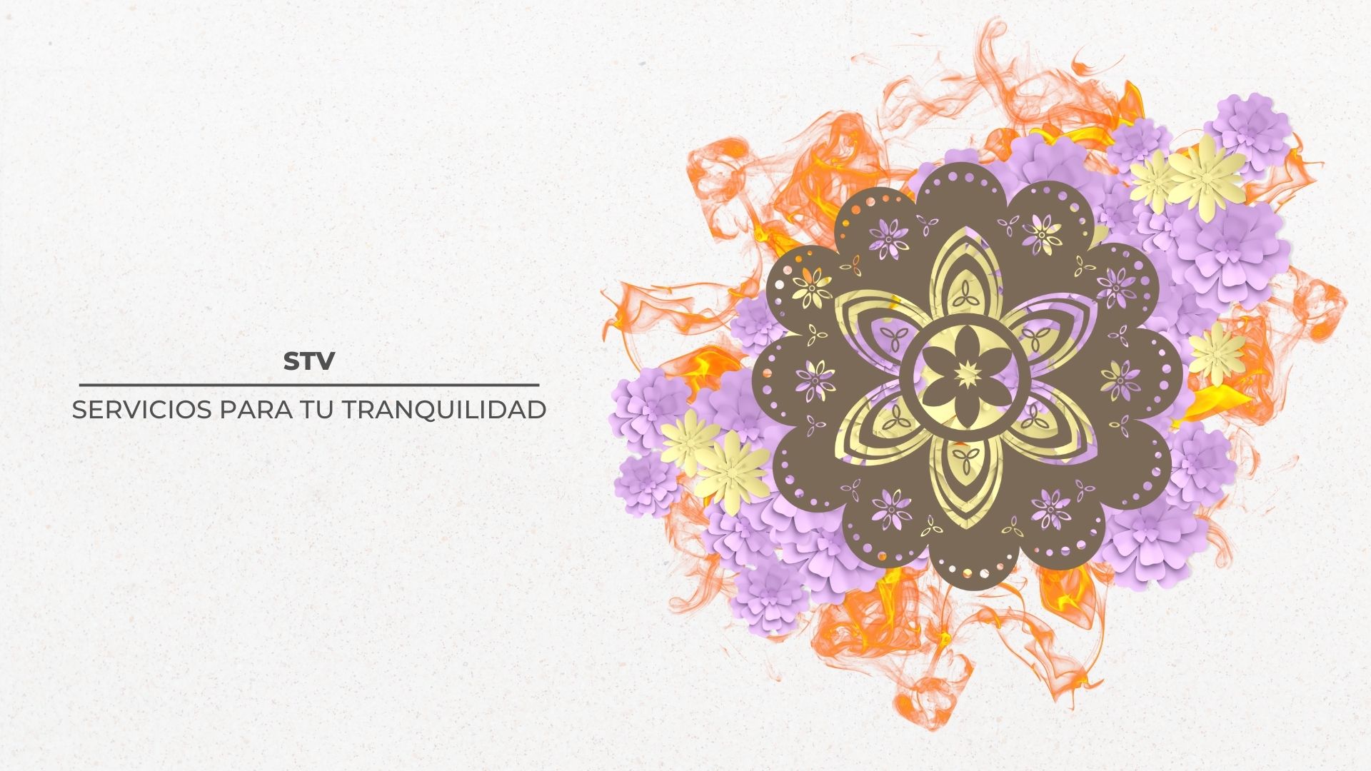 STV 3